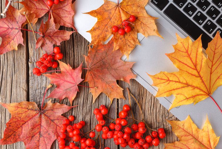 Autumn leaves and red berries arranged around a laptop on a wooden desk, representing fall hiring and workforce planning.
